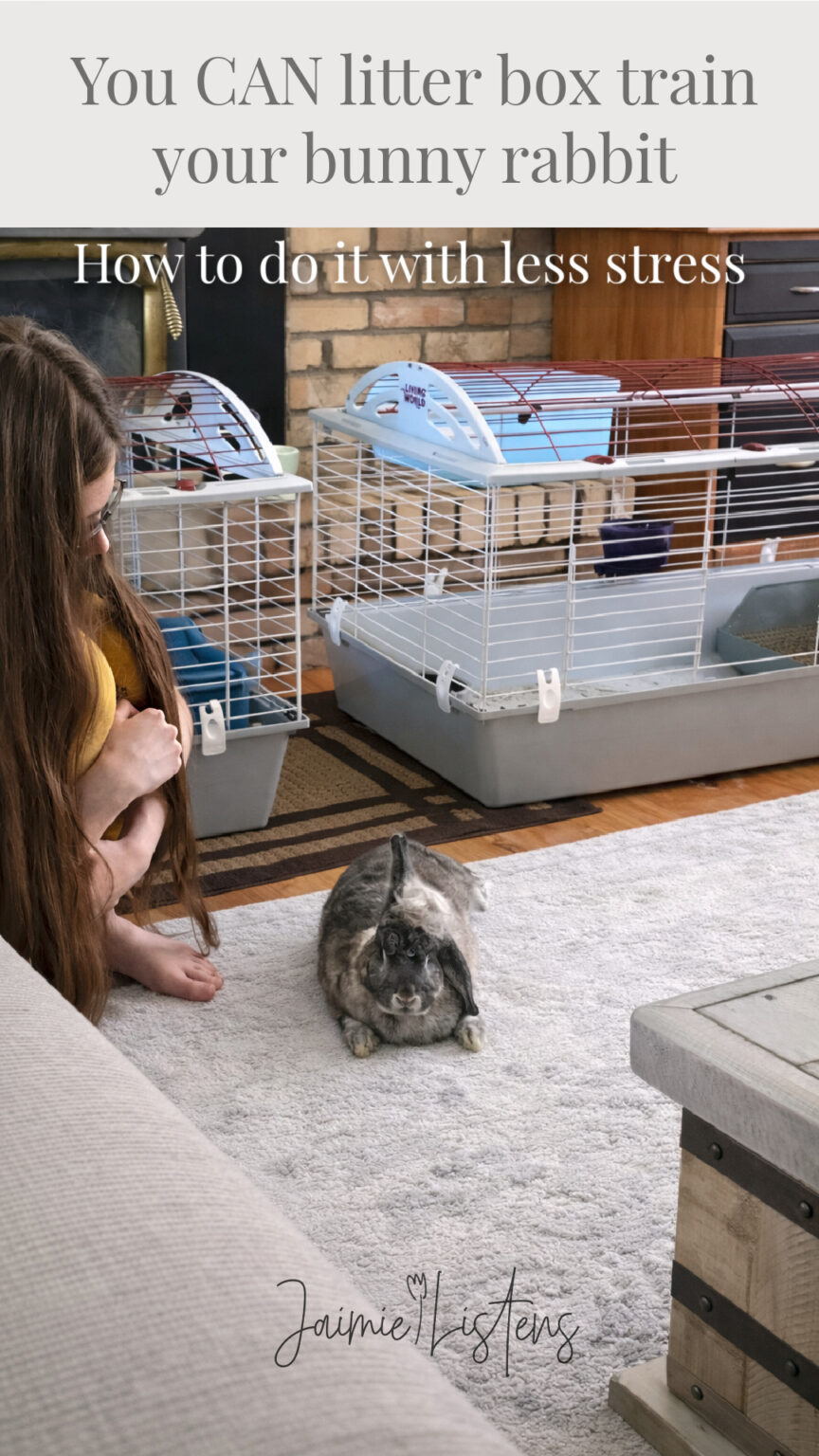 The Easiest Way to Litter Box Train Your Bunny Rabbit - Jaimie Listens