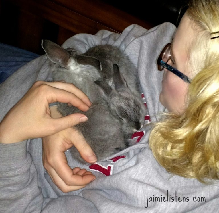 How to Bottle Feed Orphaned Baby Rabbits with Formula Recipe - Jaimie ...