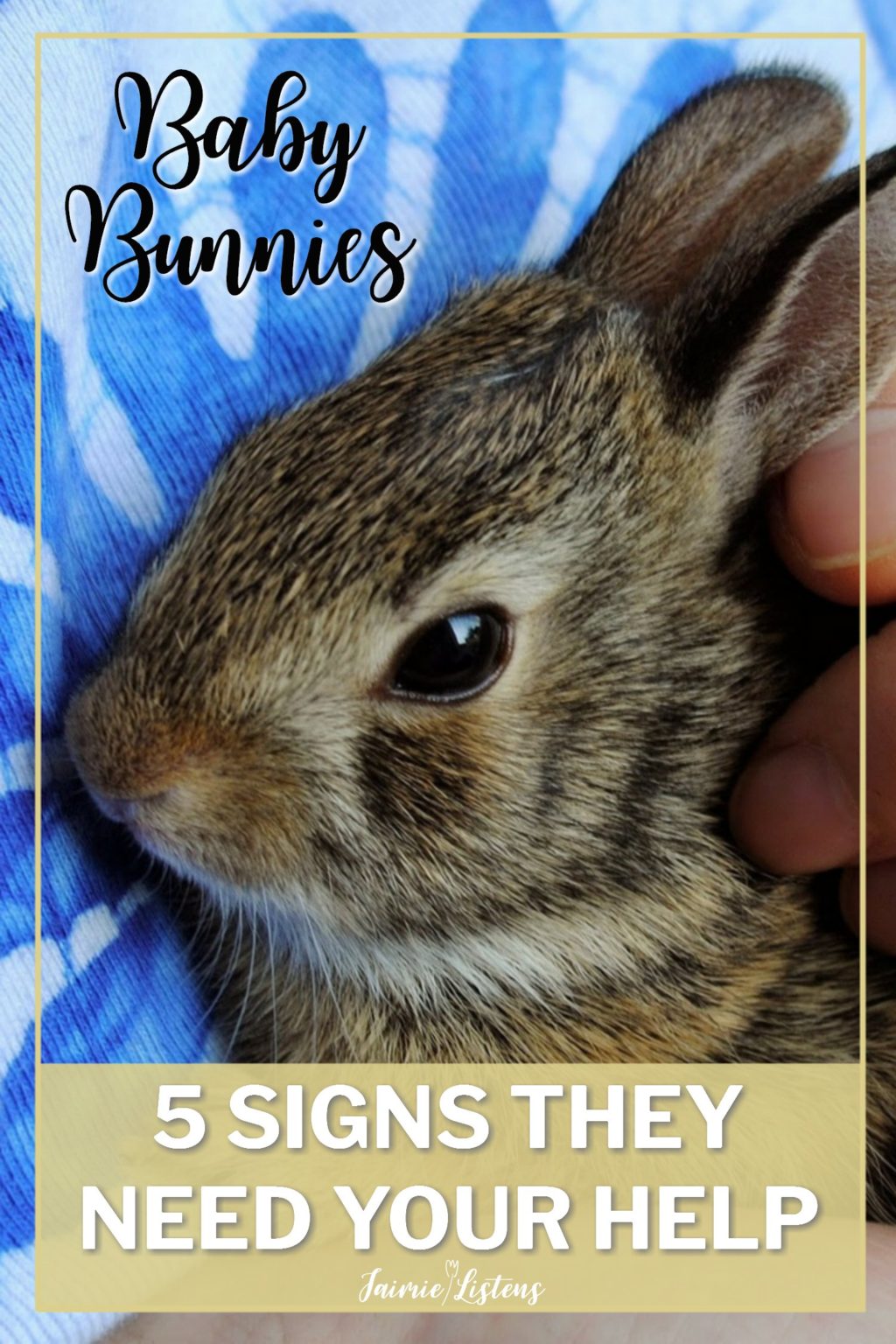 Baby Rabbits: 5 Signs They Need You to Intervene - Jaimie Listens: You found a nest of wild baby rabbits and it seems they have been abandoned by their mother. It’s good to know what to look for before taking charge of their care.