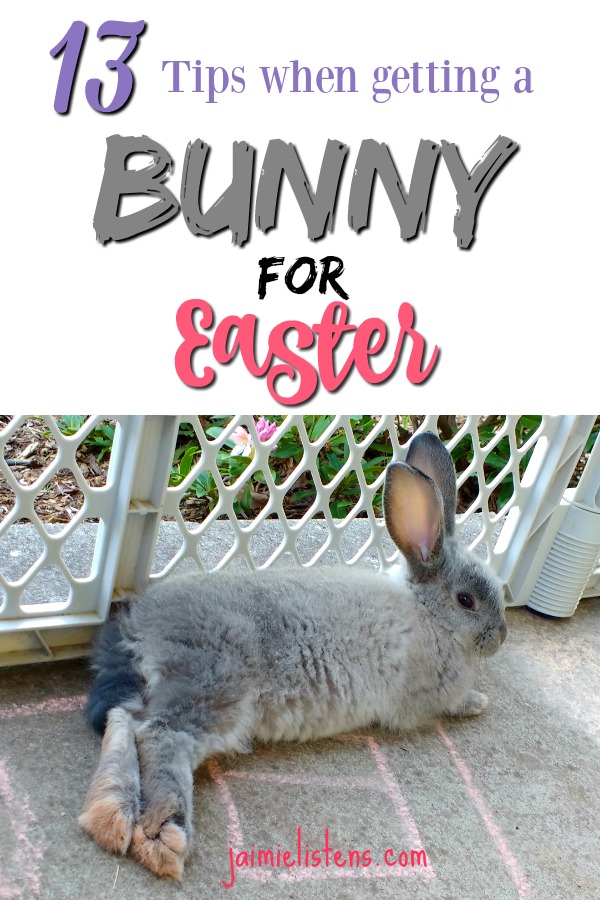 13 Things You Must Know Before Getting a Bunny for Easter! - Jaimie Listens: Helpful facts about pet rabbits that will help you decide if a bunny is right for you.