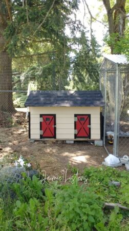 Image of a dog house modified into a chicken coop.