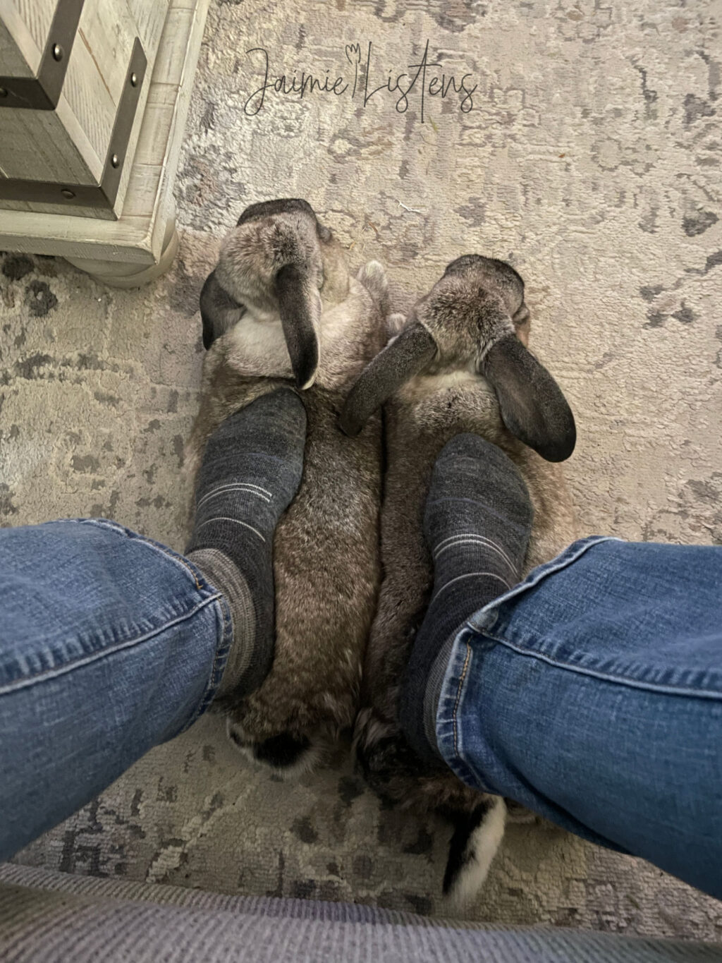 Pretending two rabbits are slippers.